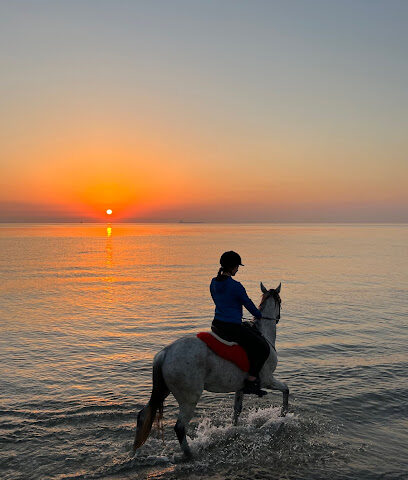 A7 STABLES - دبي - +971 56 133 3884