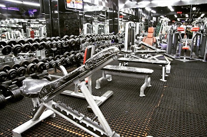 Weiders Gym - دبي - +971 50 772 7119