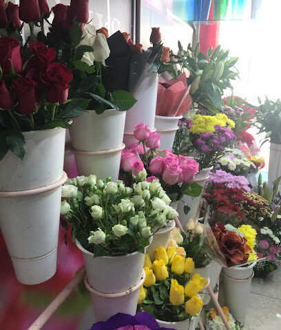 السوسن لتجارة الزهور - عجمان - +971 4 336 2444