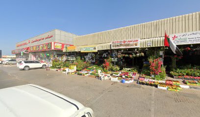 حضانة النباتات اللبنانية - دبي - +971 55 227 1971