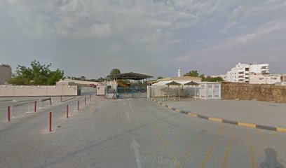 الذيد لفحص المركبات وتسجيلها - دبي -