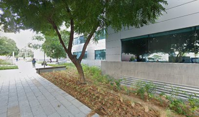 خبير تحسين محركات البحث في دبي - دبي - +971 55 796 1811