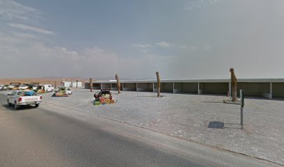 البوادي لتجارة زينة النزهة - دبي -