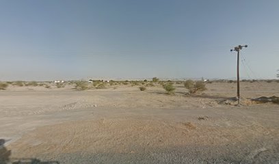 اسطبل ترو بارتنر - دبي -