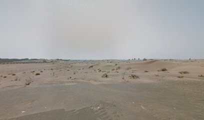 إسطبل هلال - دبي - +971 56 319 4418