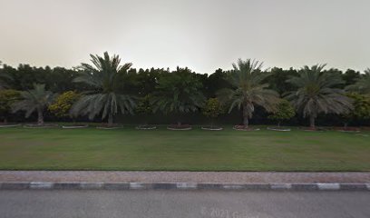 سوق الخيل الخيل سوق - دبي -