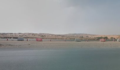 تعلم اللغة - عجمان - +971 600 540006