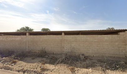 مزارع مصطفى - عجمان -