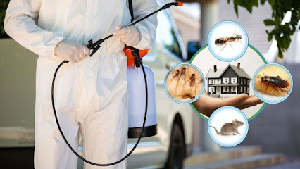 ديكور انطباع مميز - الانطباع المميز ديكور - رأس الخيمة - +971 50 175 2503