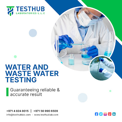 مختبرات TESTHUB LLC - دبي - +971 4 824 8015