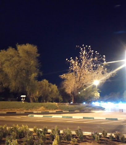 بيسلا - الفجيرة - +971 56 300 4564