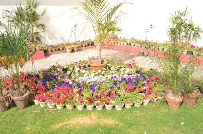 نوابض المدينة للمناظر الطبيعية - دبي - +971 52 413 2264