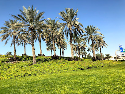 MBR Landscaping LLC - دبي - +971 4 232 7326