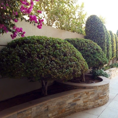 خدمات ذكية للحدائق والمناظر الطبيعية - دبي - +971 50 893 8434