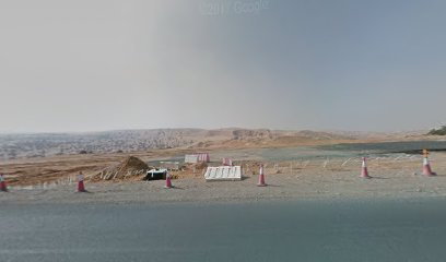 ديلو منطقة حرة - ذ - دبي - +971 58 132 5134