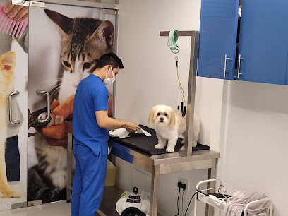 عيادة باوسيتيف البيطرية - أم القيوين - +971 4 255 9497