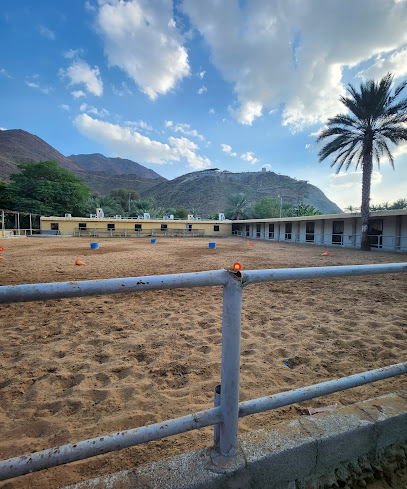 اسطبلات الريان - United Arab Emirates|Yarmouk - Sharjah|88PV+J8C