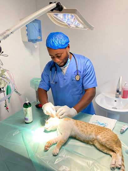 Clinipets Vet Clinic - United Arab Emirates|Jumeirah Lake Towers - JLT Cluster K - Dubai