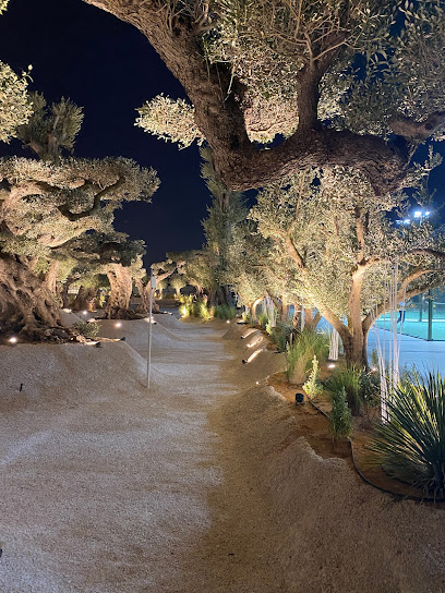 محمية قطورة - United Arab Emirates|Nad Al Sheba 1 - Dubai|District 7|Keturah Reserve