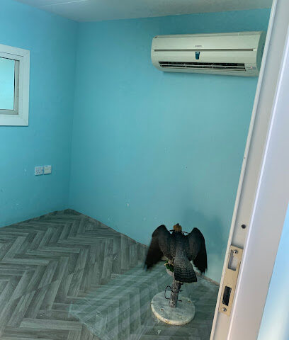 عيادة افيان البيطرية محل F6 بوادي - أم القيوين - +971 50 797 8827