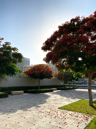 منطقة عشب الجداف الشماكي - United Arab Emirates|Jaddaf Waterfront - Dubai|Unnamed Road|park & playground