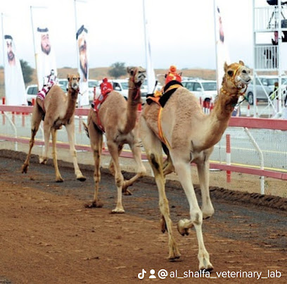 مختبر الشلفا البيطري - أم القيوين - +971 56 156 3816