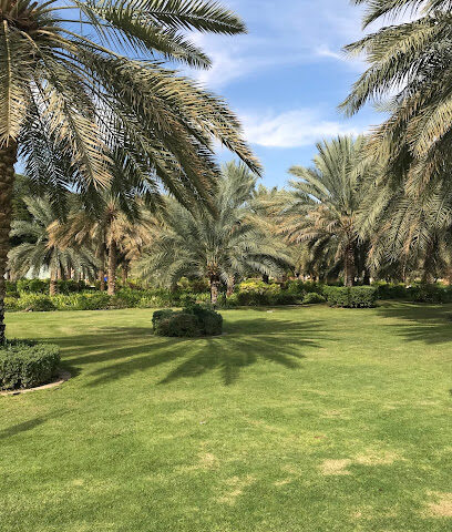 واحة العين - الشارقة - +971 3 711 8251