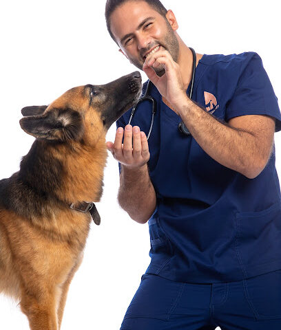 مركز المدينة البيطري الحديث - أم القيوين - +971 800 82