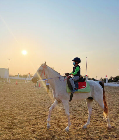 نادي وادي العمردي للفروسية - الشارقة - +971 55 651 3137