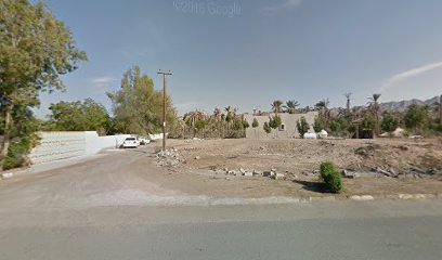 مشتل نباتات الصفا - أم القيوين - +971 50 590 3840