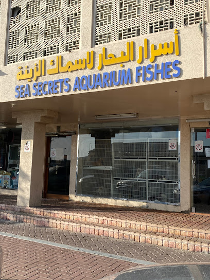 أسماك البحر السرية - United Arab Emirates|Al Zahiyah - Abu Dhabi|G95H+XQ9
