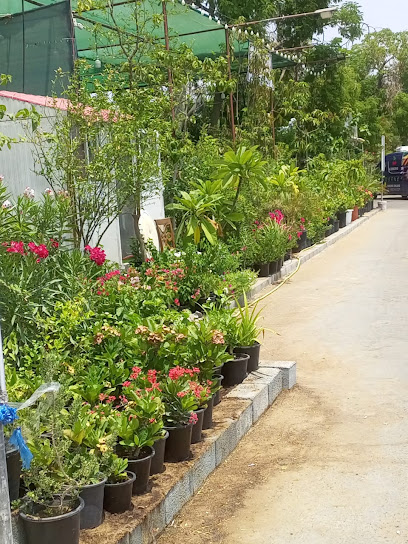 زهور براعم الواد براعم الوادي للزهور - United Arab Emirates|Masafi Town - Ras al Khaimah|85F9+3R6