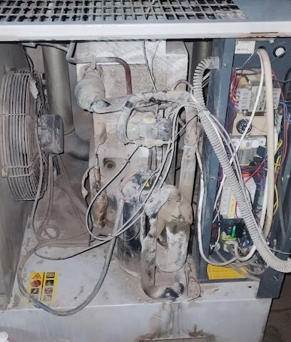 تصليح الحبوب. أم القيوين -  - +971 55 877 5030