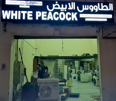 وايت بيكوك للتكييف ذ م م BR1 -  - +971 55 878 4136