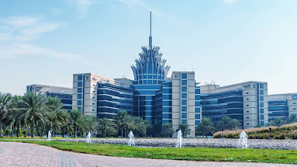 كليفيت الشرق الأوسط -  - +971 4 501 5840