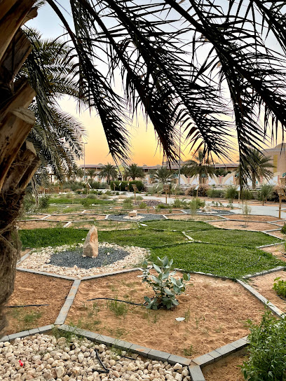 حديقة النباتات المحلية (ممشي عشارج) - United Arab Emirates|Al 'Iqabiyyah - Abu Dhabi|Unnamed Road