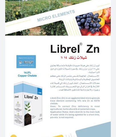 الزراعة استراشيم - أبو ظبي - +971 52 477 9093