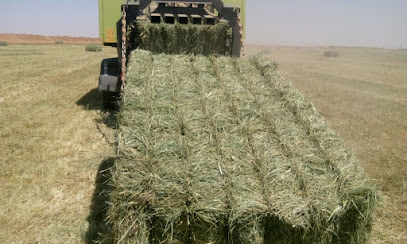 مزارع ديرو الزراعية - أبو ظبي - +971 4 295 5640