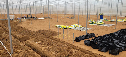 مزرعة خليفة بن هويدن الكتبي مزرعة خليفة بن هويدان الكتبي -  -